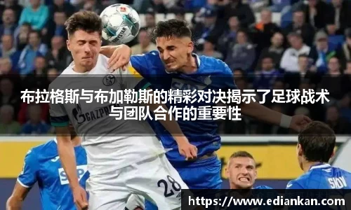 多宝电竞app